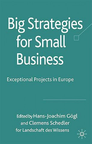 Big Strategies for Small Business