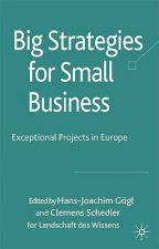 Big Strategies for Small Business