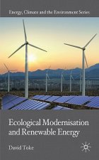 Ecological Modernisation and Renewable Energy
