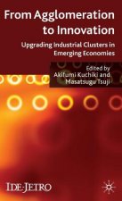 From Agglomeration to Innovation
