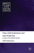 Class, Individualization and Late Modernity