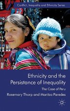 Ethnicity and the Persistence of Inequality