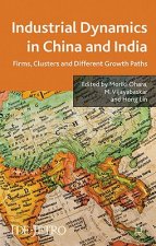 Industrial Dynamics in China and India