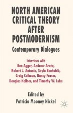 North American Critical Theory After Postmodernism