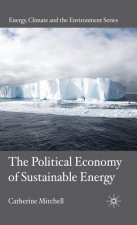 Political Economy of Sustainable Energy