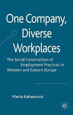 One Company, Diverse Workplaces