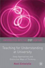 Teaching for Understanding at University