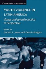 Youth Violence in Latin America
