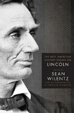 Best American History Essays on Lincoln
