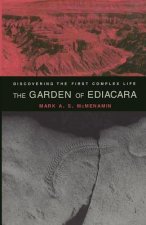 Garden of Ediacara