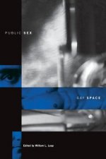 Public Sex/Gay Space