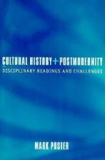 Cultural History and Postmodernity