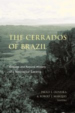 Cerrados of Brazil