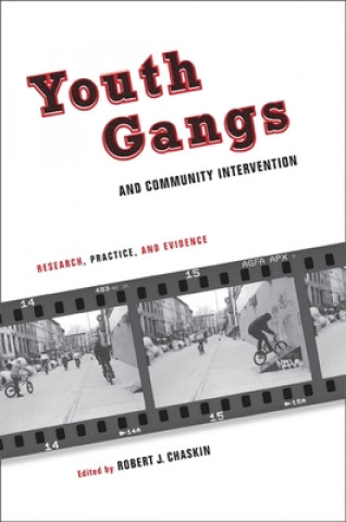 Youth Gangs and Community Intervention