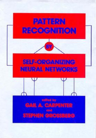 Pattern Recognition by Self-Organising Neural Networks