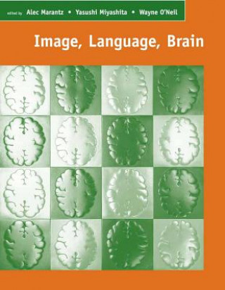 Image, Language, Brain