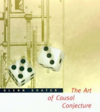 Art of Causal Conjecture