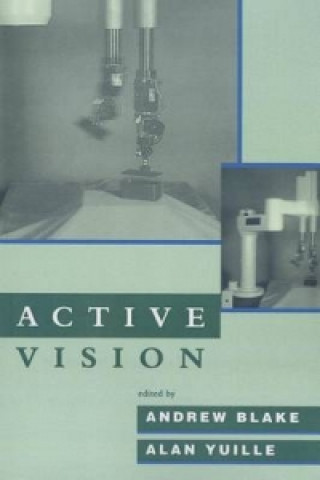 Active Vision