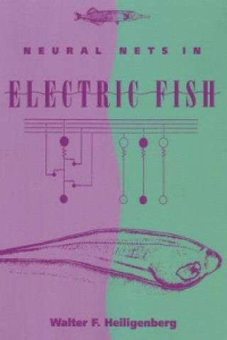 Neural Nets in Electric Fish