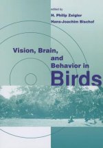 Vision, Brain, and Behavior in Birds