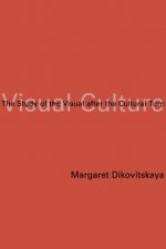 Visual Culture