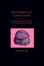 Ten Problems of Consciousness