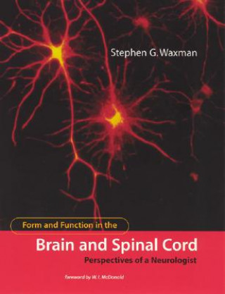 Form and Function in the Brain and Spinal Cord