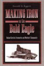 Making Iron on the Bald Eagle