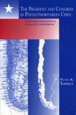 President and Congress in Postauthoritarian Chile