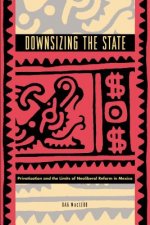 Downsizing the State