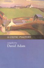 Celtic Psaltery