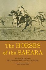 Horses of the Sahara