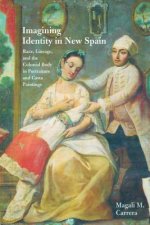 Imagining Identity in New Spain