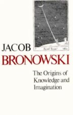 Origins of Knowledge and Imagination