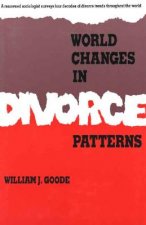 World Changes in Divorce Patterns