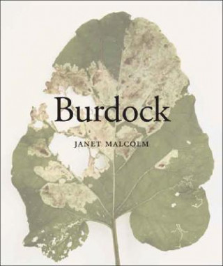 Burdock