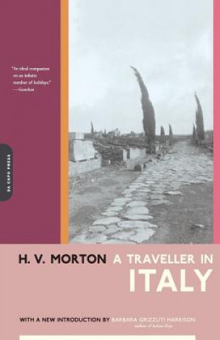 Traveller in Italy