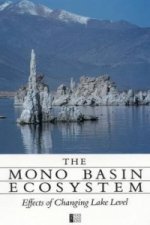 Mono Basin Ecosystem