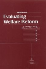 Evaluating Welfare Reform