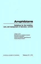 Amphibians