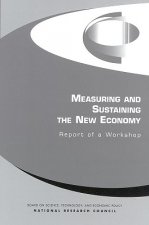 Measuring and Sustaining the New Economy