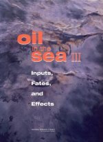Oil in the Sea