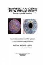 Mathematical Sciences' Role in Homeland Security