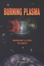 Burning Plasma