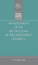Assessment of the SBIR Program at the Department of Energy