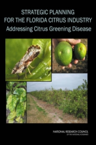 Strategic Planning for the Florida Citrus Industry