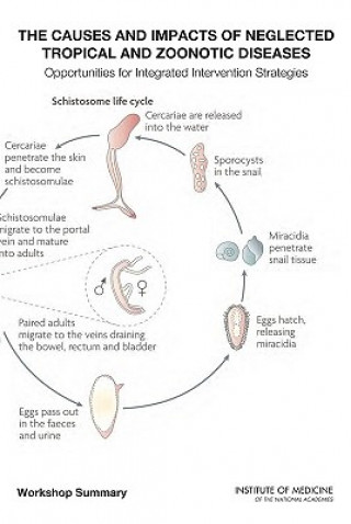 Causes and Impacts of Neglected Tropical and Zoonotic Diseases