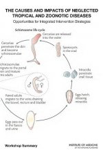 Causes and Impacts of Neglected Tropical and Zoonotic Diseases