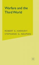 Warfare and the Third World