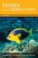 Fishes of the Caribbean Reefs